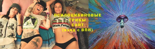 apvp Пересвет