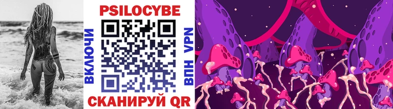 OMG зеркало  Щёкино  Галлюциногенные грибы Psilocybine cubensis 